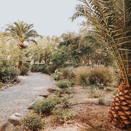 דירות קאלבי Calvi. T2 2/4 Personnes A 100 Metres De La Plage מראה חיצוני תמונה